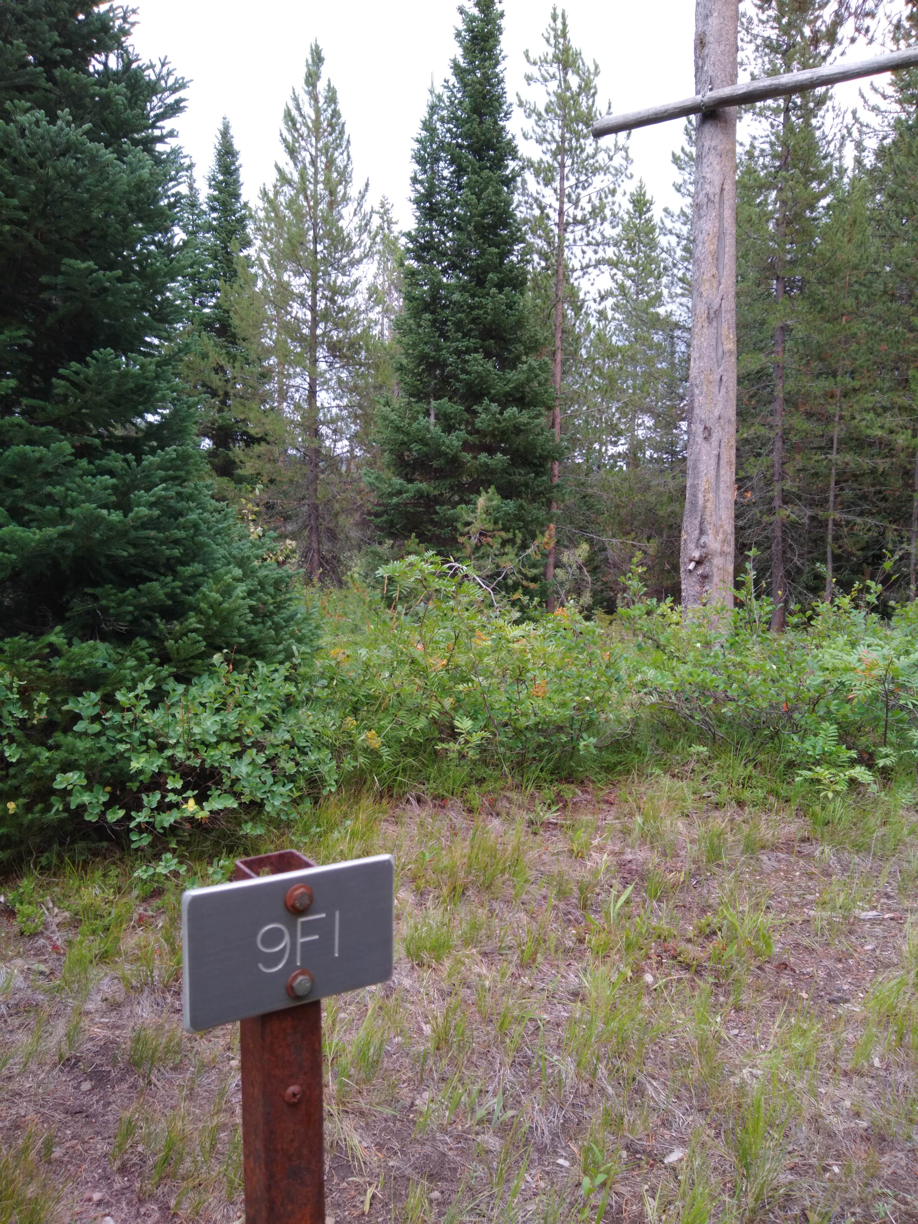 Camper submitted image from 9F1 Yellowstone National Park Backcountry — Yellowstone National Park - 2