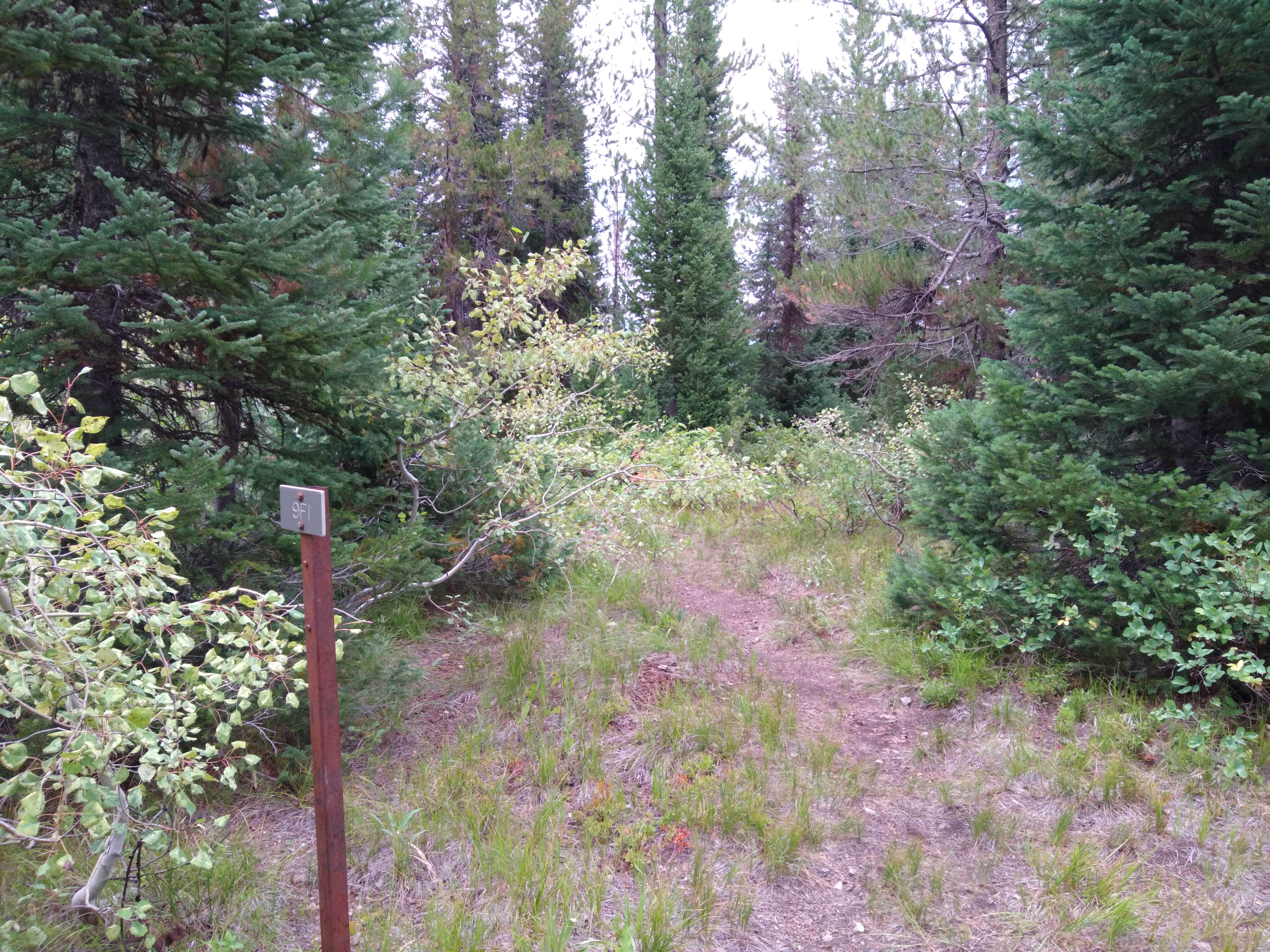 Camper-submitted photo at 9F1 Yellowstone National Park Backcountry — Yellowstone National Park near John D. Rockefeller Jr. Memorial Parkway