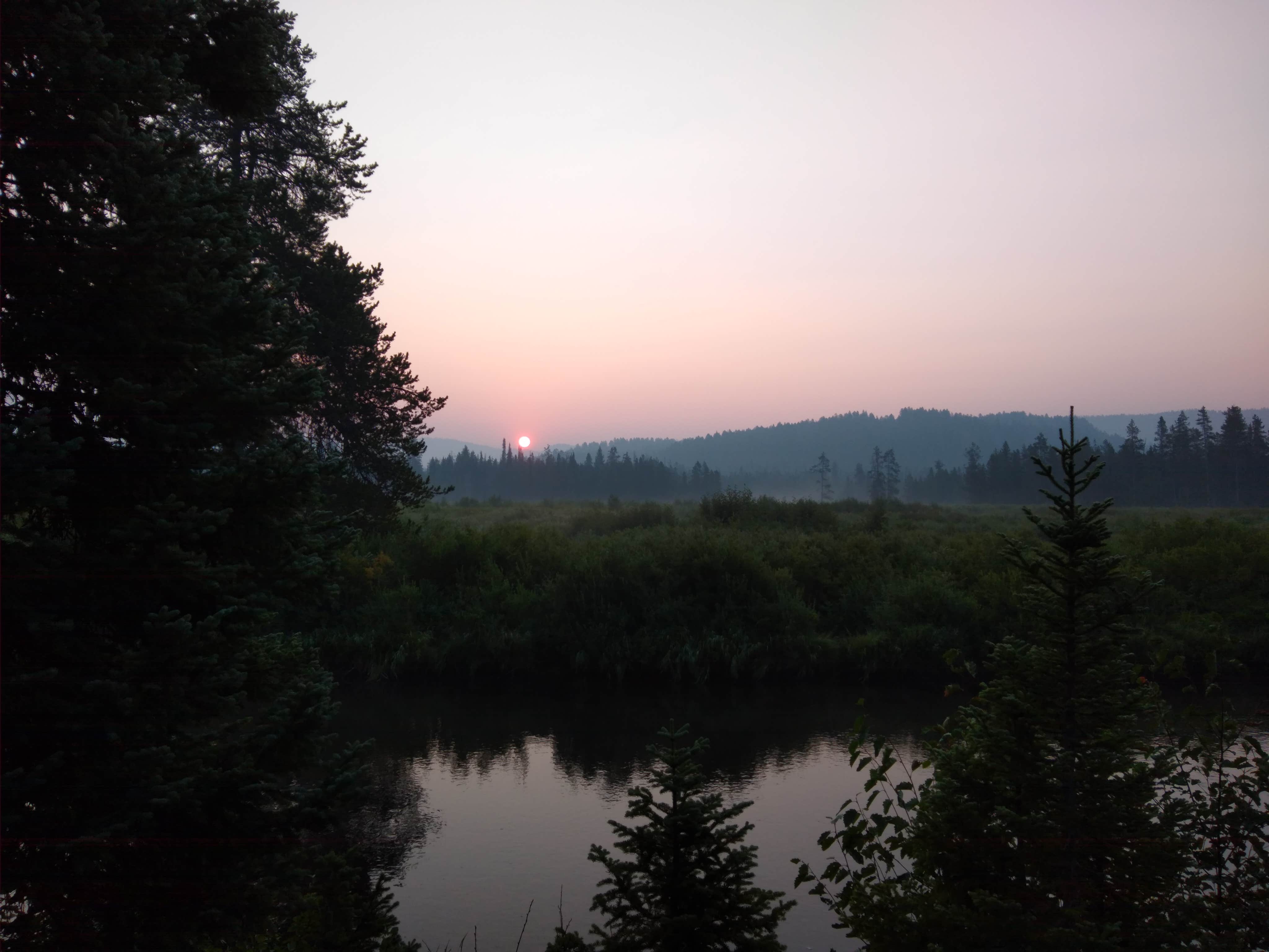 Camper submitted image from 9F1 Yellowstone National Park Backcountry — Yellowstone National Park - 5