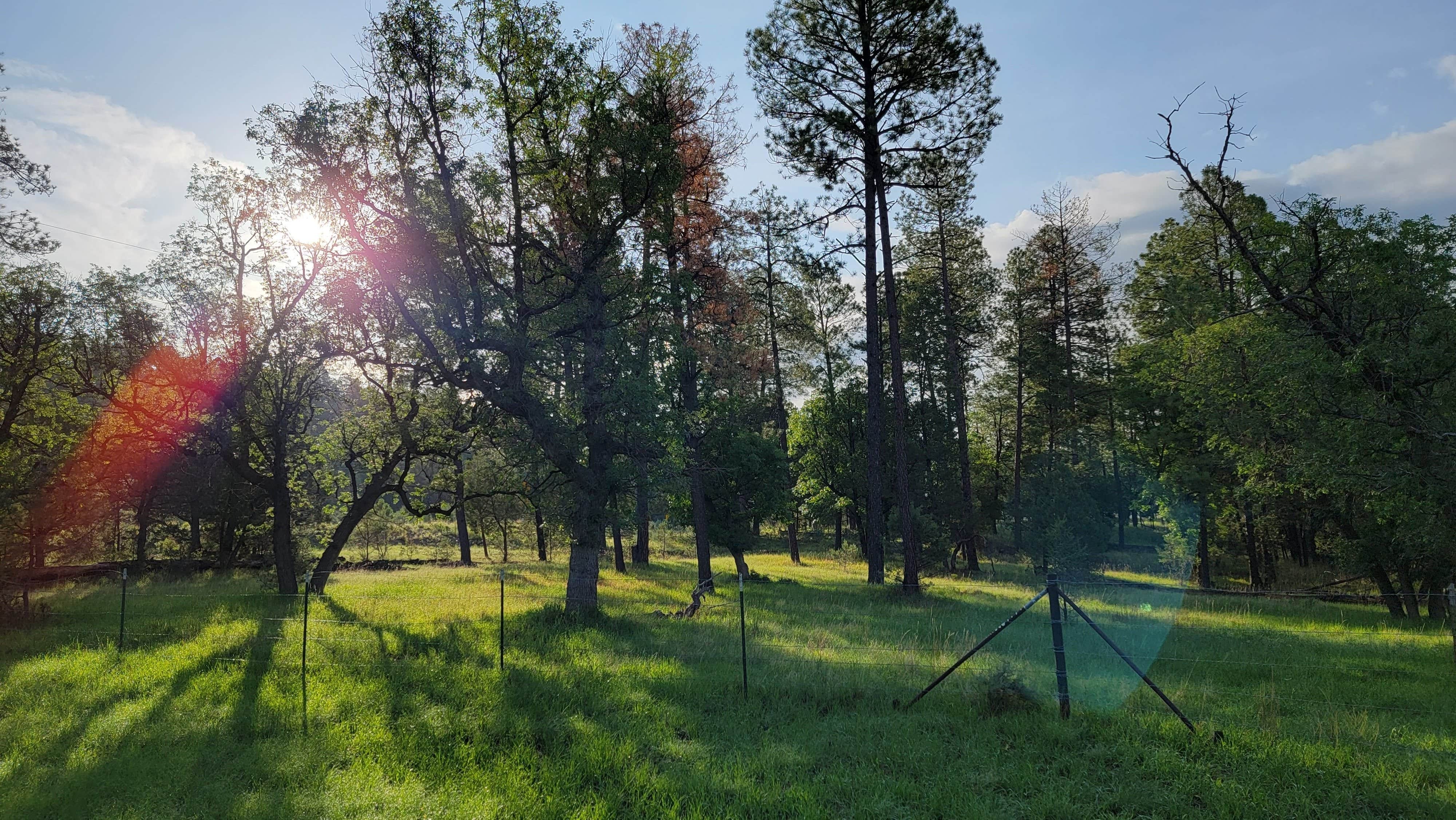 Camper-submitted photo at Circle Cross RV Park near Timberon, NM