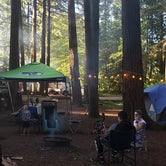 Review photo of Millersylvania State Park Campground by Julie R., September 6, 2021