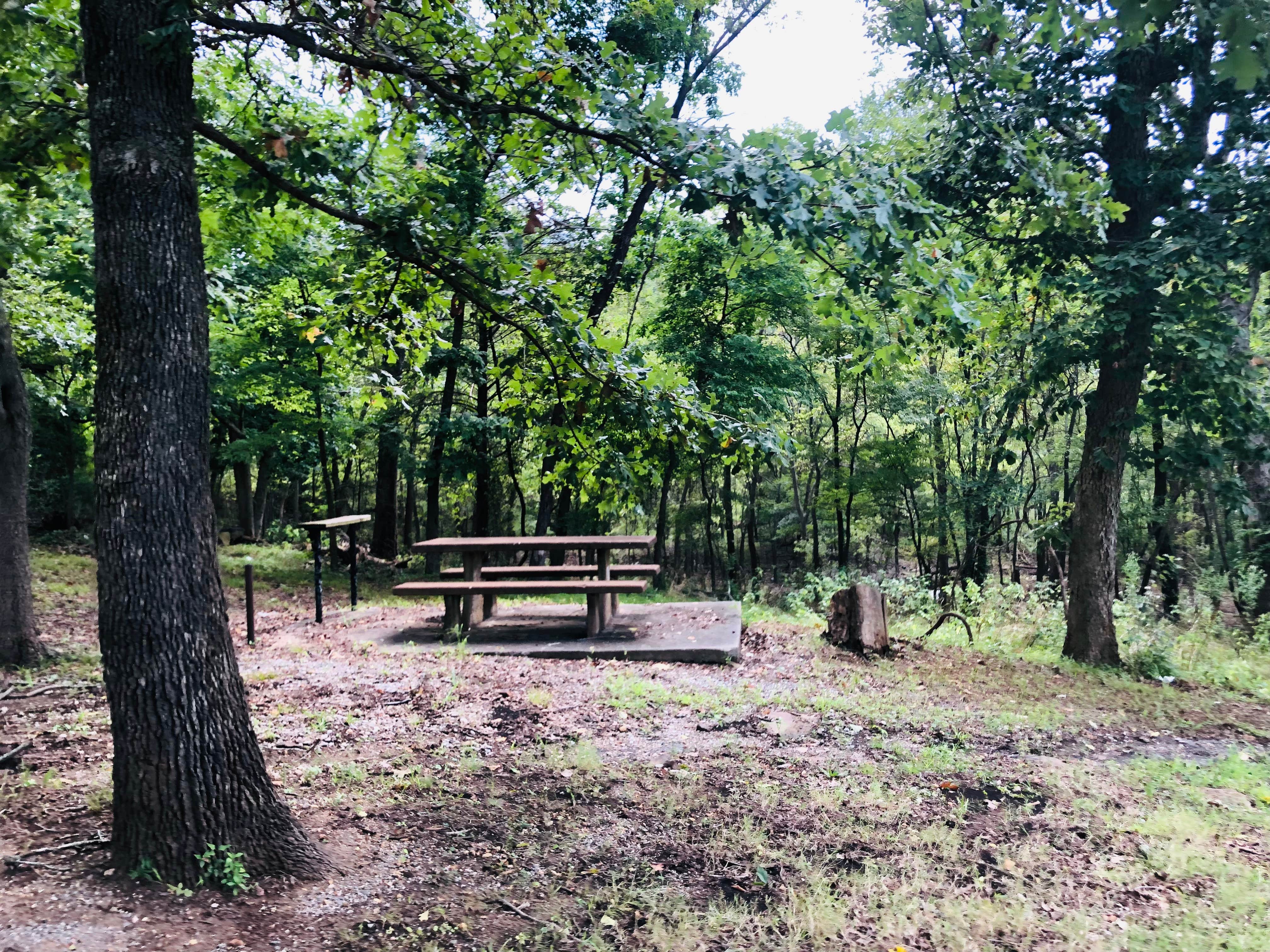 Camper submitted image from Sizemore Landing - Tenkiller Ferry Lake - 3