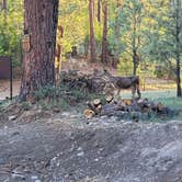 Review photo of Rainbow Lake Cabin & RV Resort by Jeffrey T., September 6, 2021