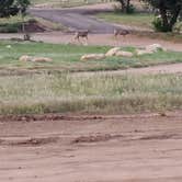 Review photo of Golden Eagle Campground by Jed K., September 6, 2021