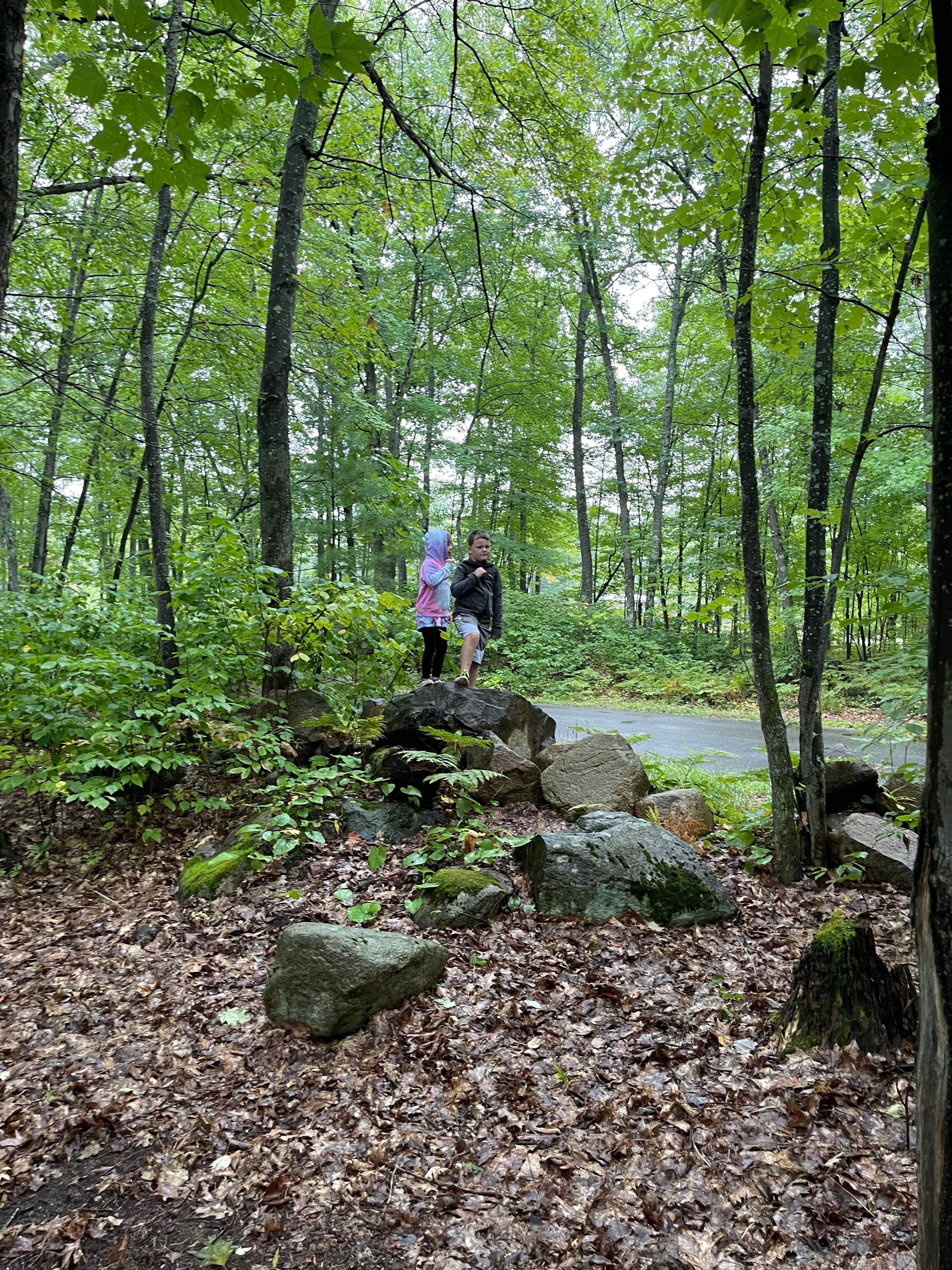 Camper-submitted photo at West Bay Camping Resort near Irma, WI