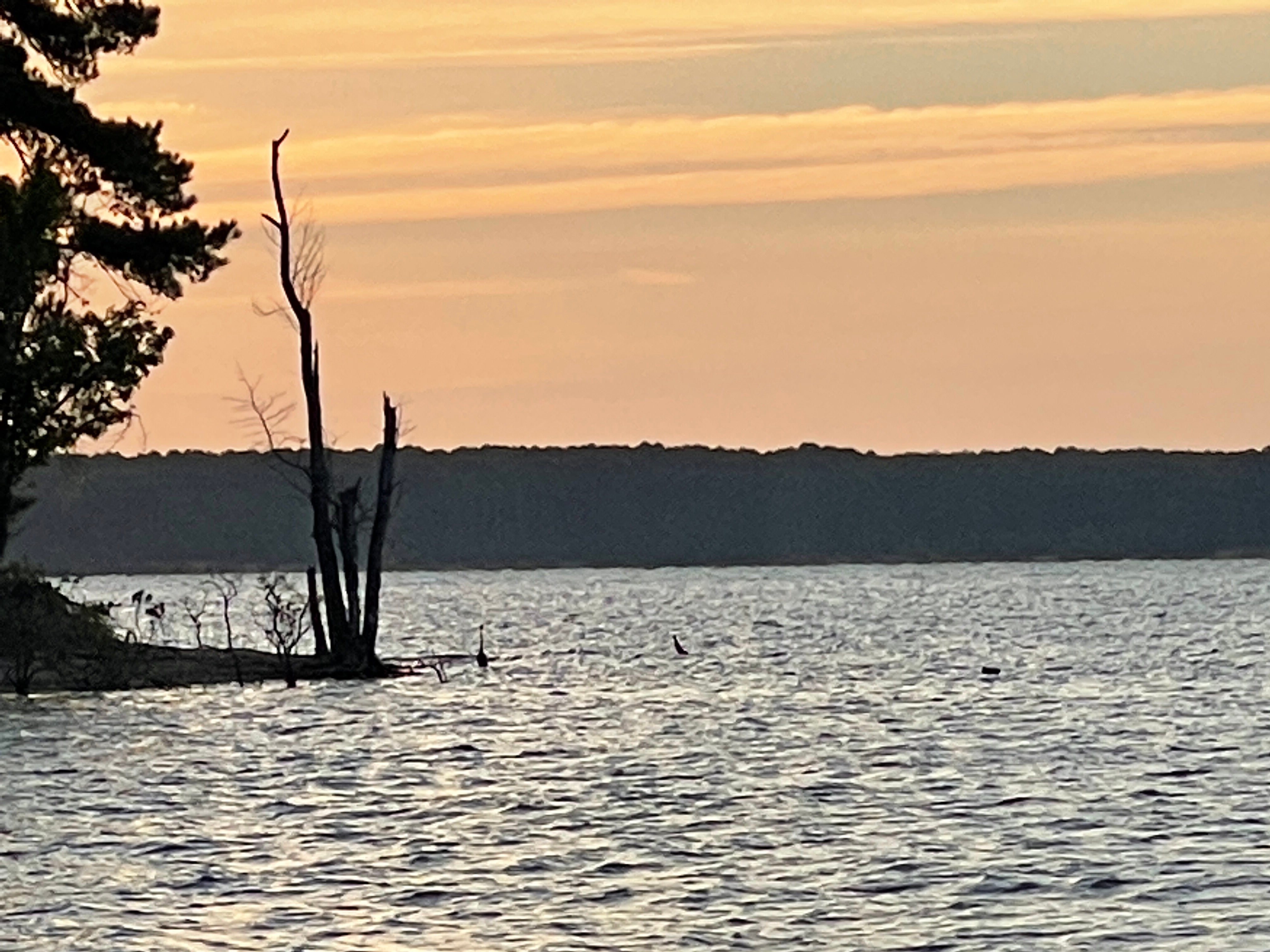Camper submitted image from Henderson Point — Kerr Lake State Recreation Area - 4