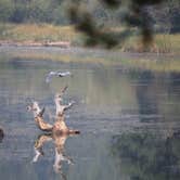 Review photo of LaPine State Park Campground by Eric , September 6, 2021