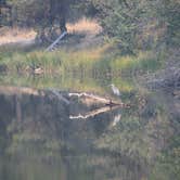 Review photo of LaPine State Park Campground by Eric , September 6, 2021