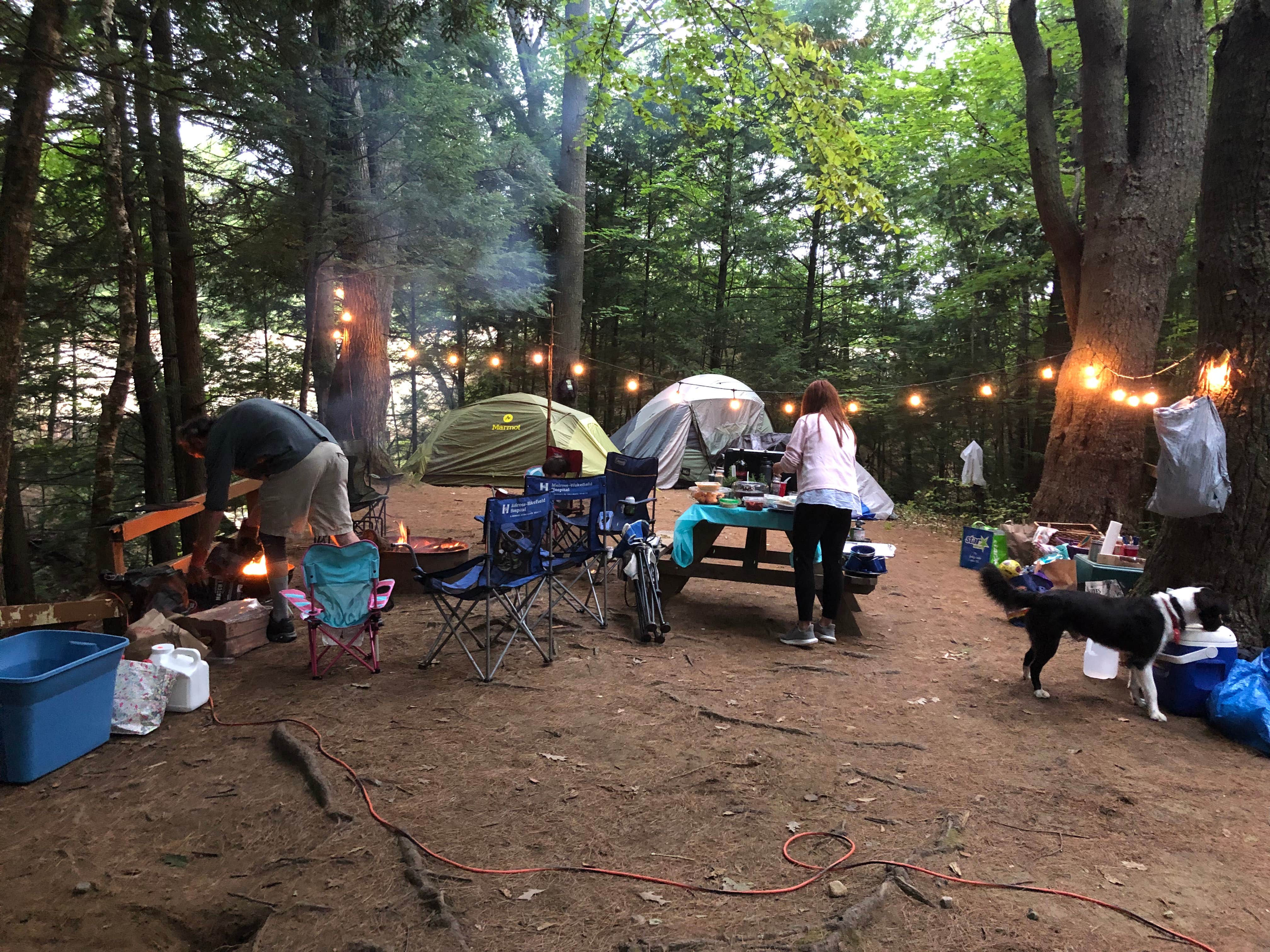 Lara V.'s photo of camping with pets at Desert of Maine Campground near Portland, ME