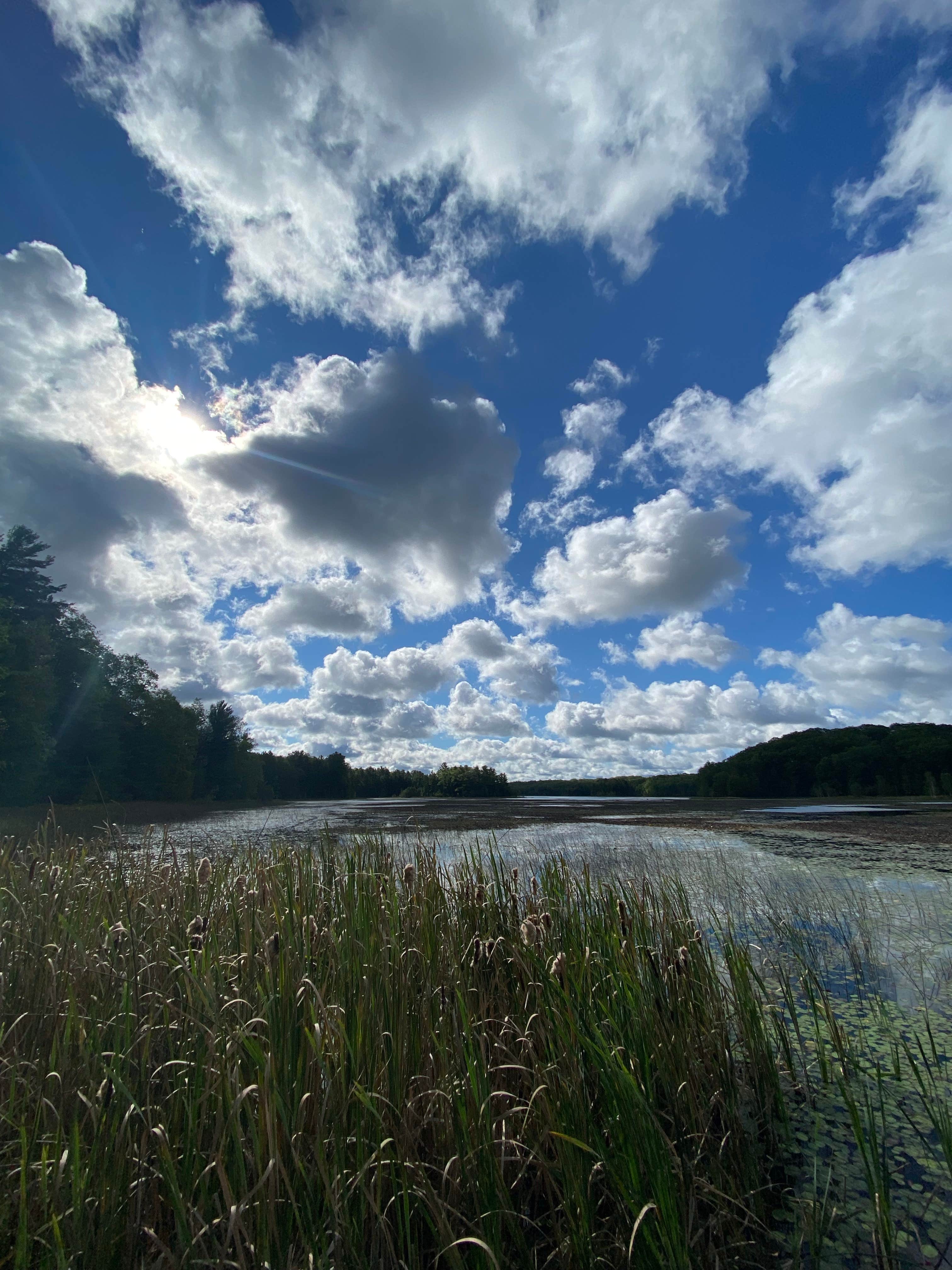 Camper submitted image from Long Lake (Wexford) State Forest Campground - 1