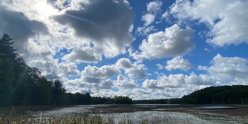 Camper submitted image from Long Lake (Wexford) State Forest Campground