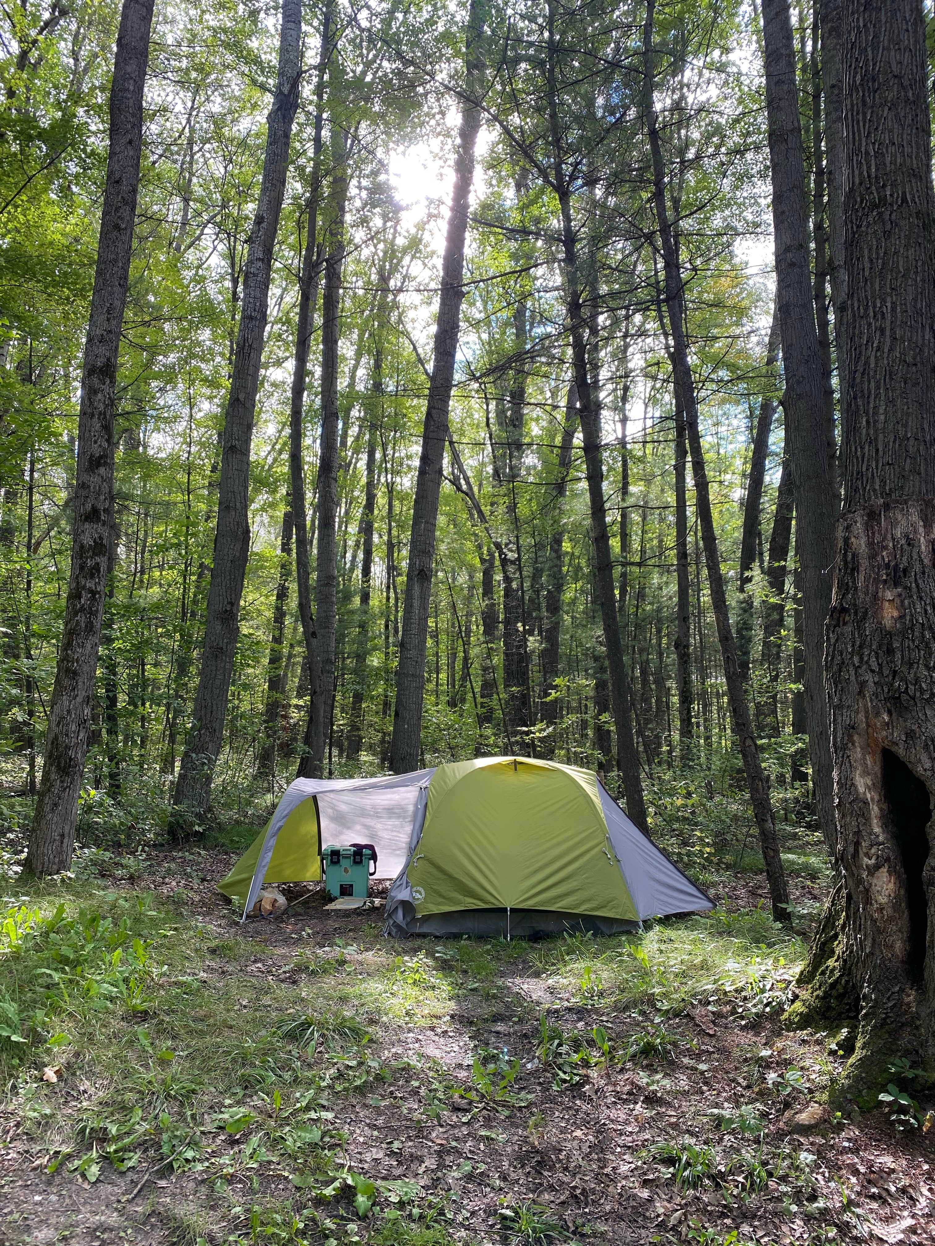 D G.'s photo of tent camping at Long Lake (Wexford) State Forest Campground near Kingsley, MI