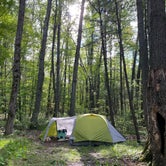 Review photo of Long Lake (Wexford) State Forest Campground by D G., September 6, 2021