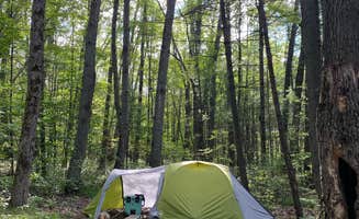 D G.'s photo of tent camping at Long Lake (Wexford) State Forest Campground near Mancelona, MI