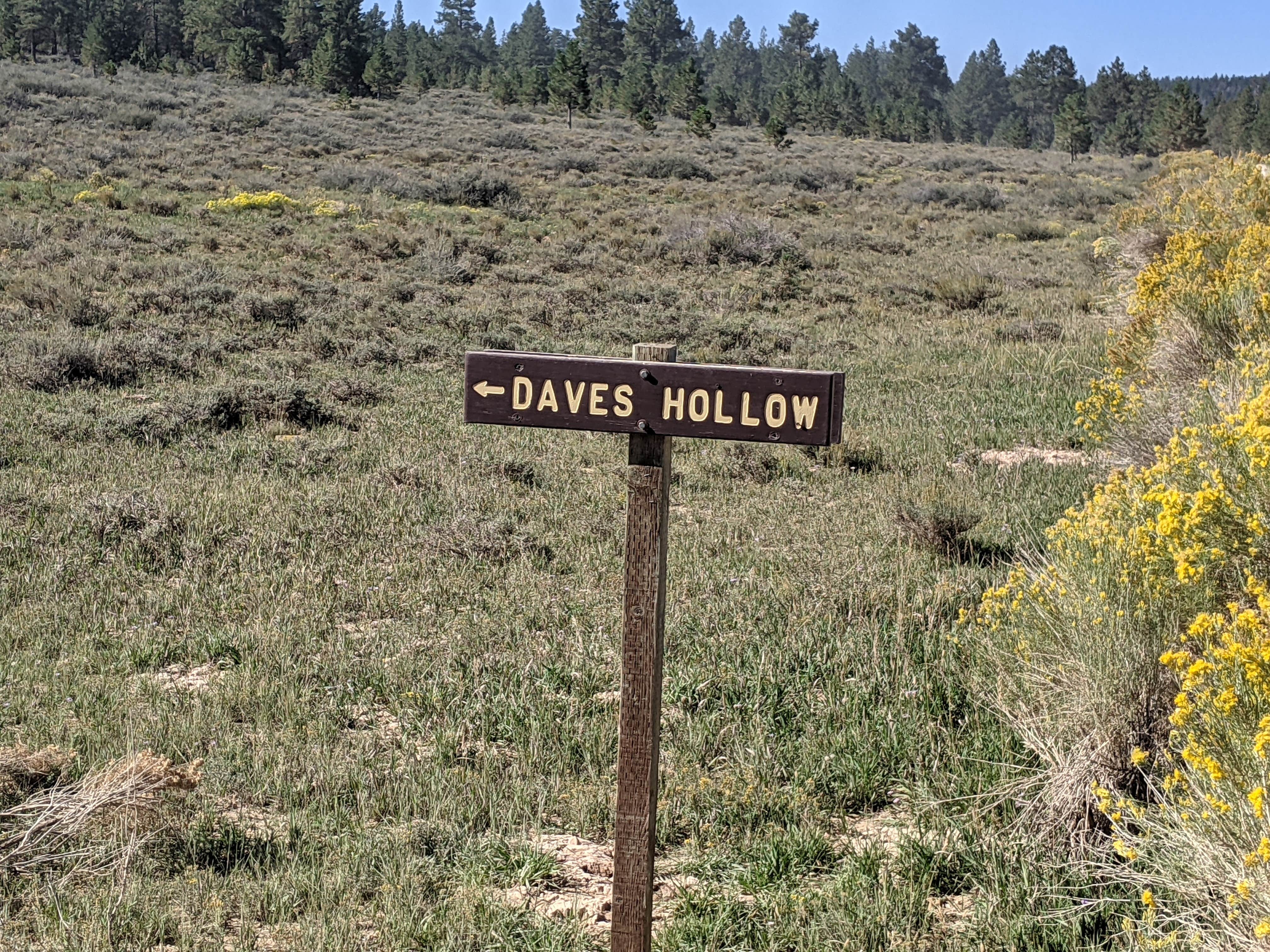 Camper-submitted photo at Great Western Trail Dispersed near Brian Head, UT