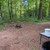 Review photo of French Creek State Park Campground by Alex S., September 6, 2021