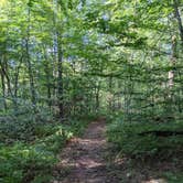 Review photo of French Creek State Park Campground by Alex S., September 6, 2021