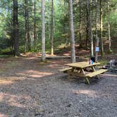 Review photo of Seneca State Forest by Jon C., September 6, 2021
