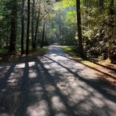 Review photo of Seneca State Forest by Jon C., September 6, 2021