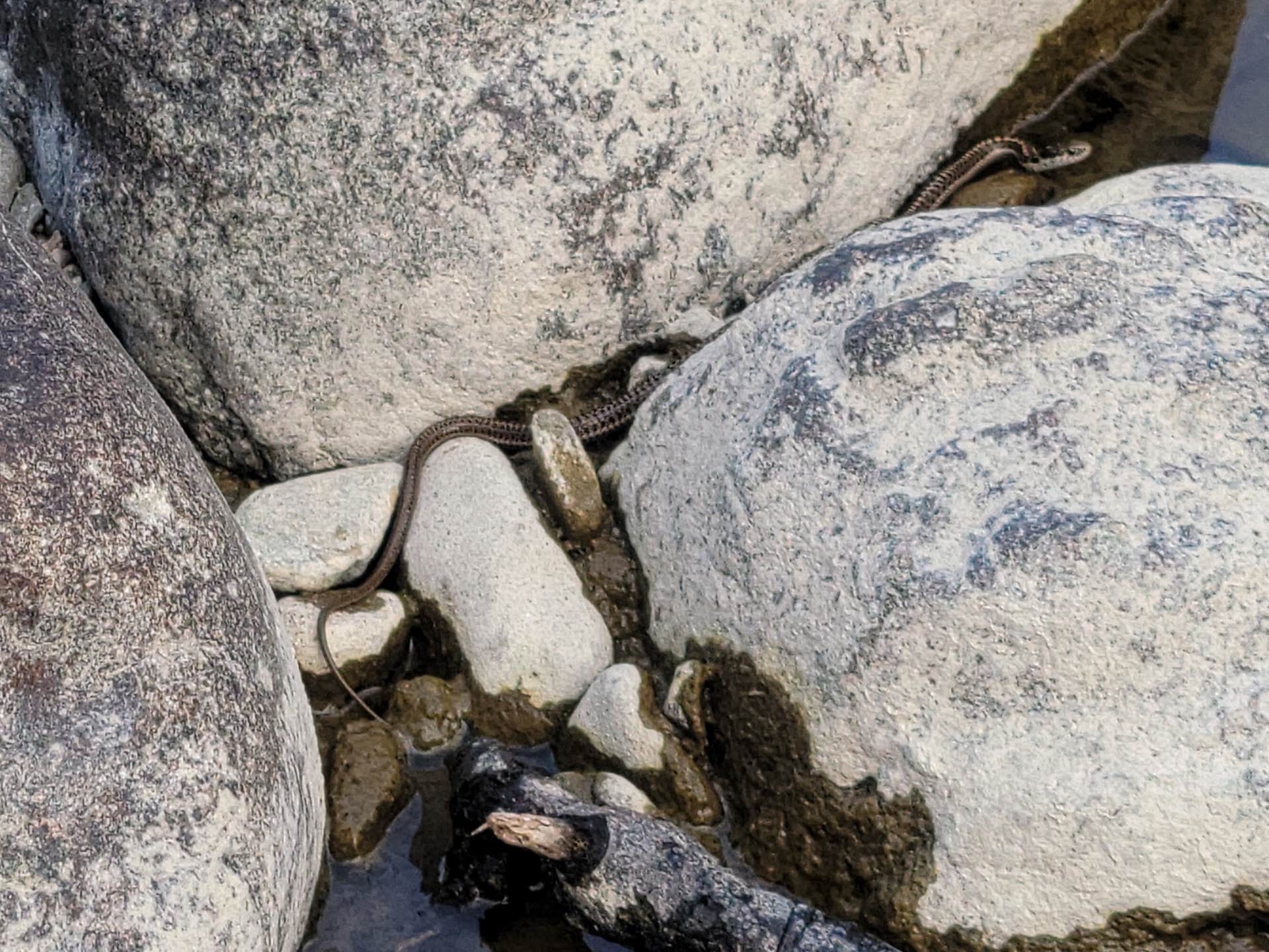 Camper-submitted photo at Castle Rock near Mcleod, MT