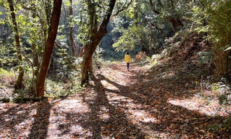 Camping near Henry Cowell Redwoods State Park Campground: Santa Vida RV Park, Soquel, California