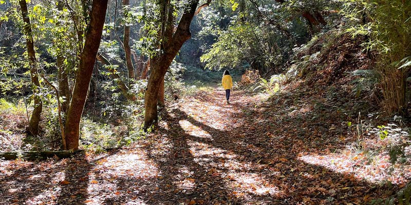 Camper submitted image from Santa Vida RV Park