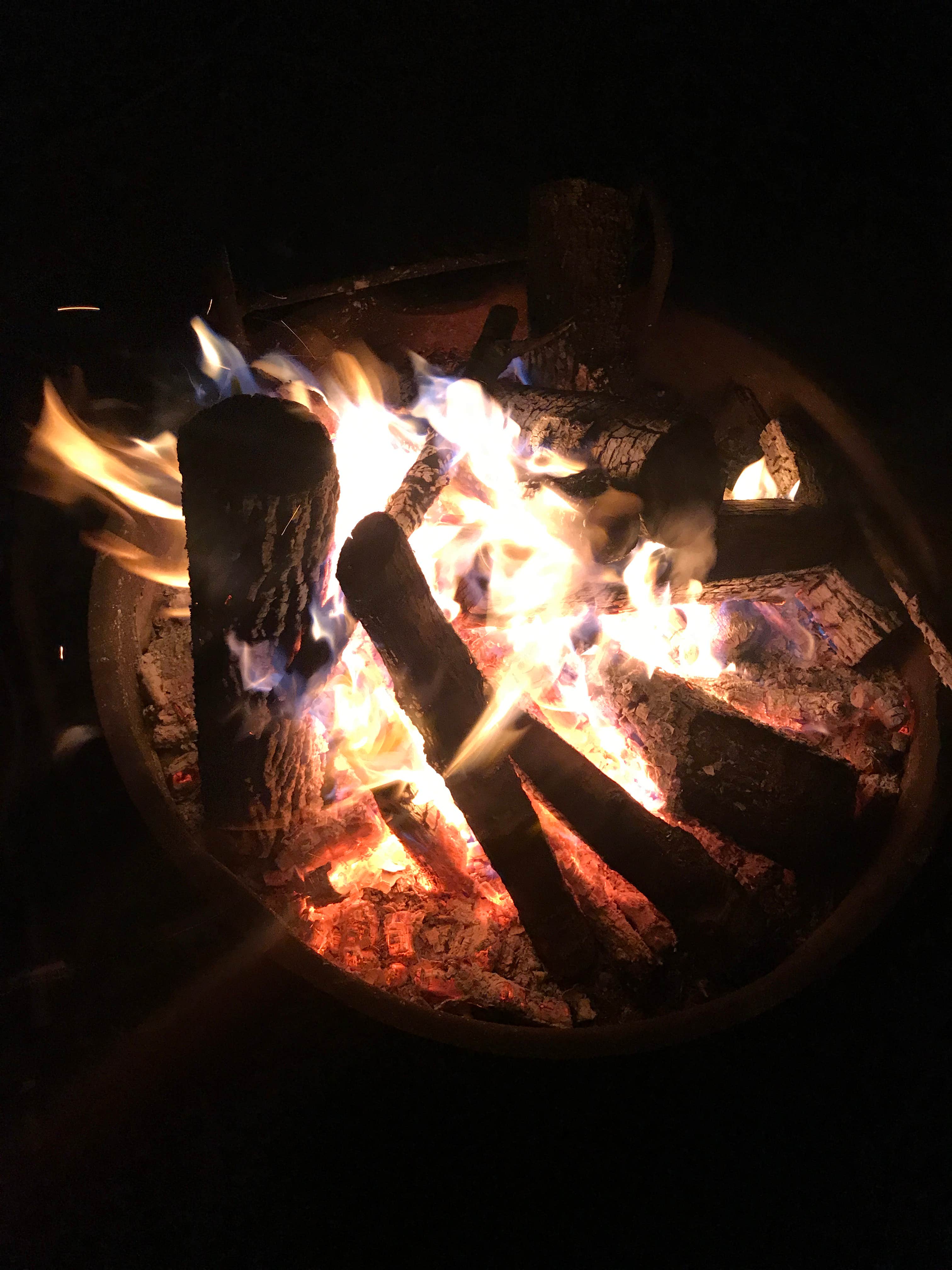 Camper-submitted photo at Warriors' Path State Park Main Campground — Warriors' Path State Park near Ducktown, TN