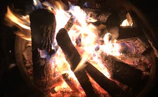 Charlie S.'s photo at Warriors' Path State Park Main Campground — Warriors' Path State Park near Ducktown, TN