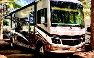 Matt S.'s photo of rv camping at Holly Acres RV Park near Absecon, NJ