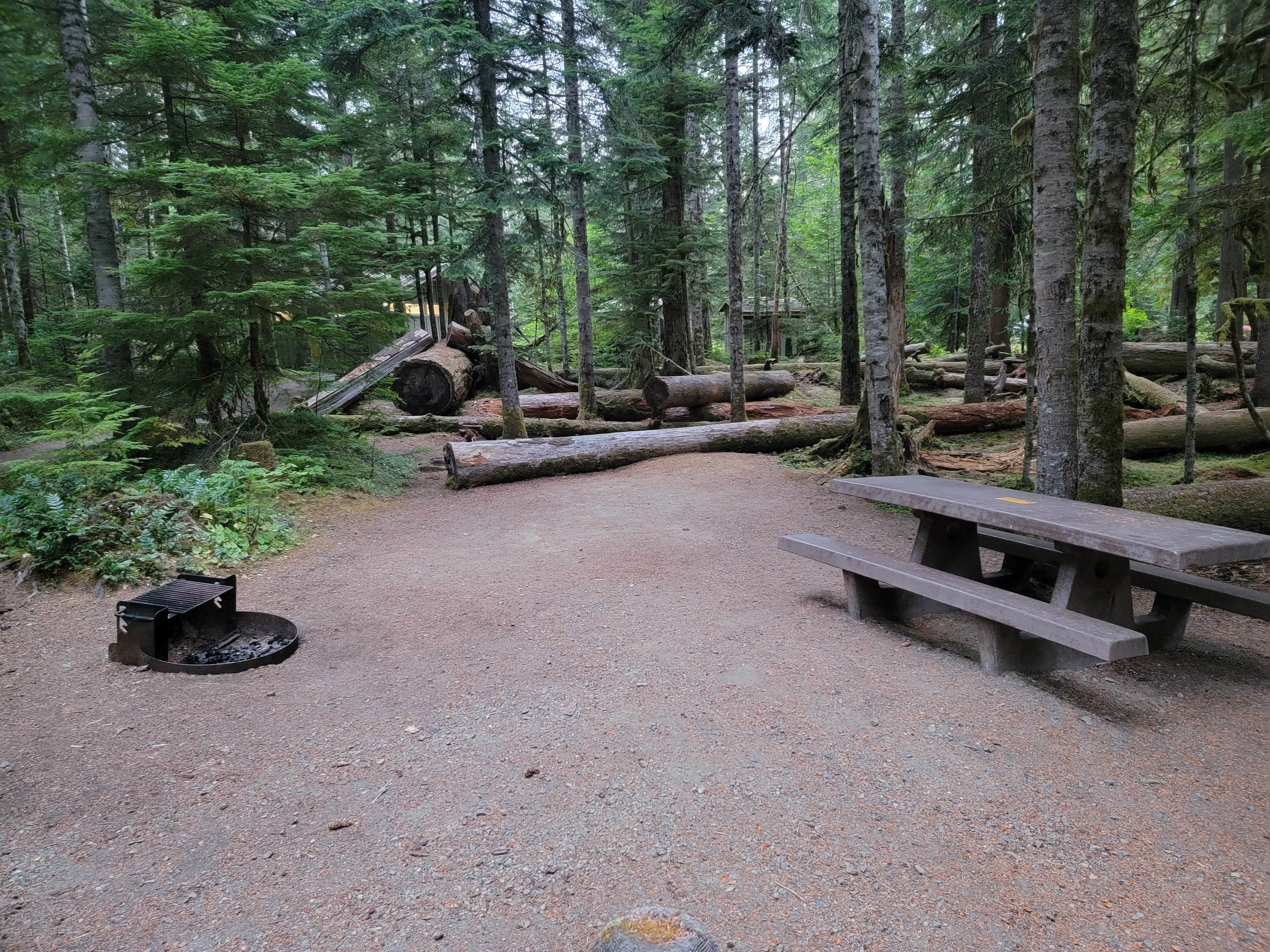 Best drivein camping near East Quilcene, Washington The Dyrt