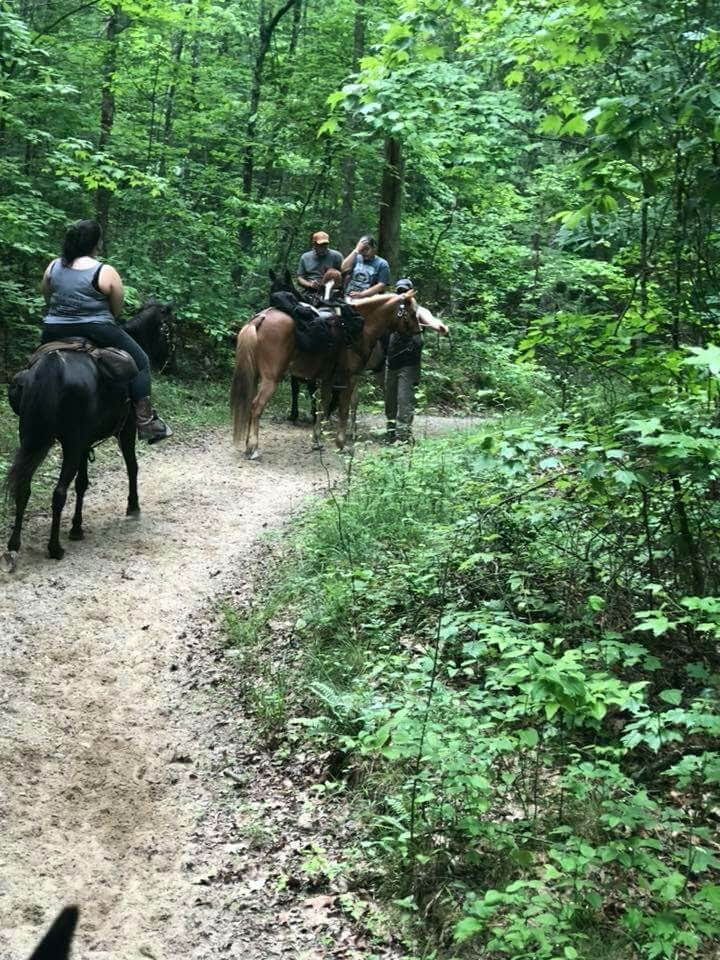 Camper submitted image from Station Camp Horse Campground — Big South Fork National River and Recreation Area - 4