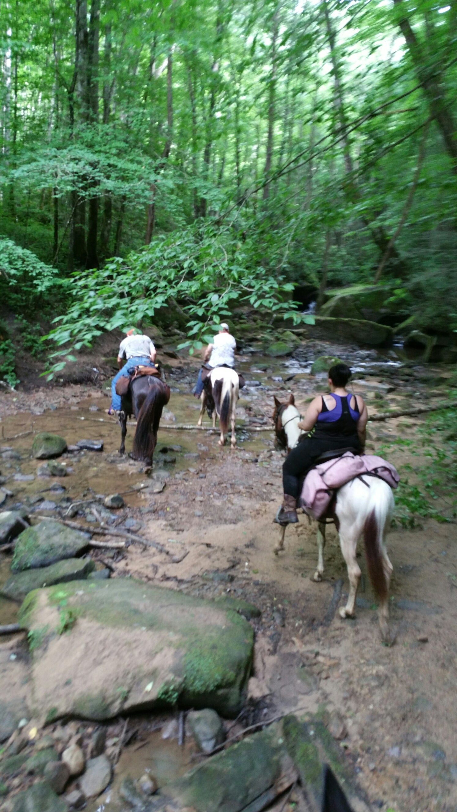 Camper submitted image from Station Camp Horse Campground — Big South Fork National River and Recreation Area - 3