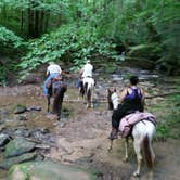 Review photo of Station Camp Horse Campground — Big South Fork National River and Recreation Area by Robbie S., June 23, 2018