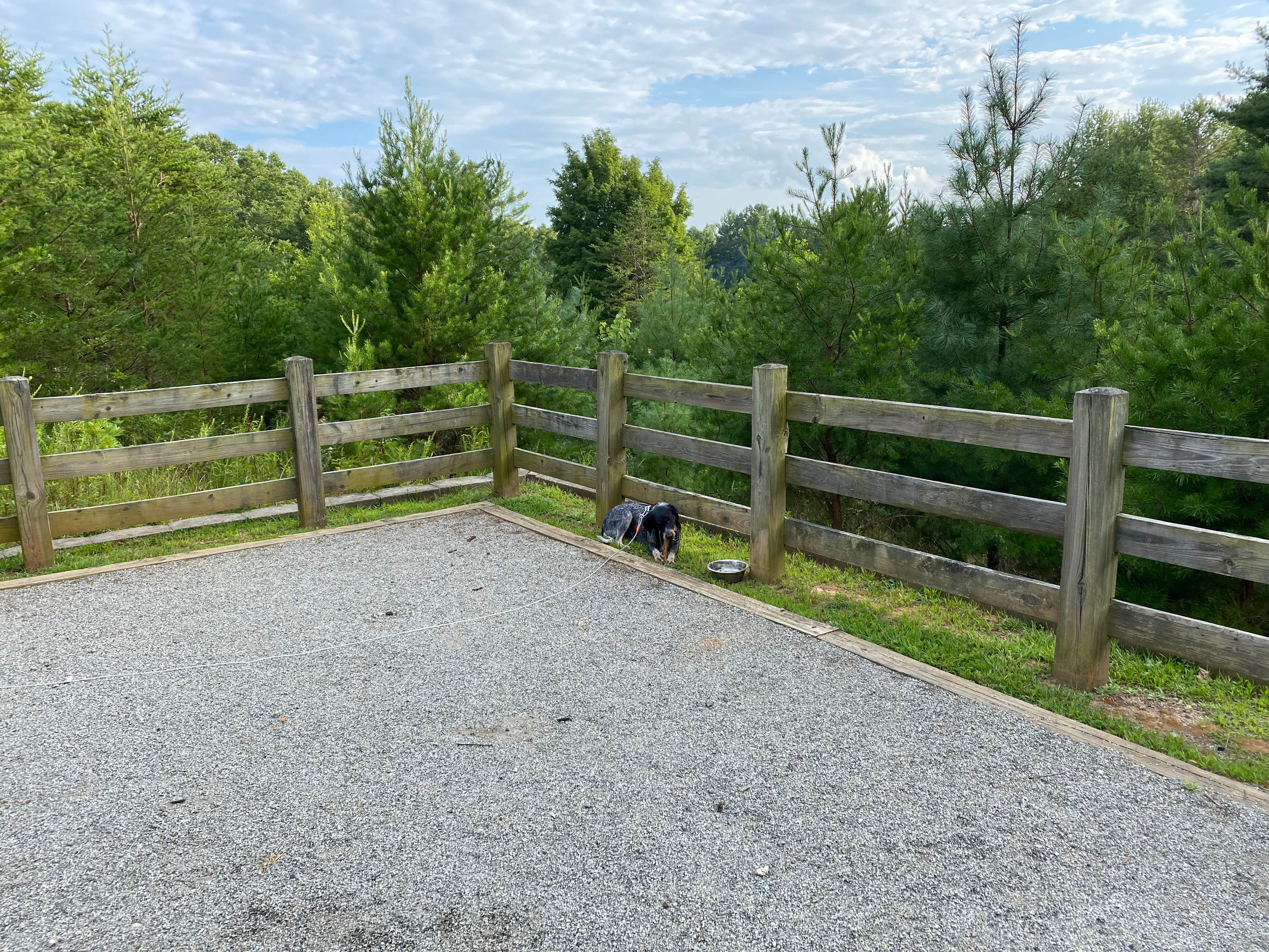 Camper-submitted photo at Wagoner — New River State Park near Whitetop, VA