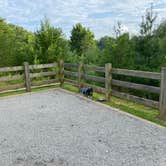 Review photo of New River State Park - Wagoneer Access by Chelsea B., September 7, 2021