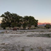 Review photo of Dave Deacon Campground - Wayne E Kirch Wildlife Management Area by Emily H., September 7, 2021