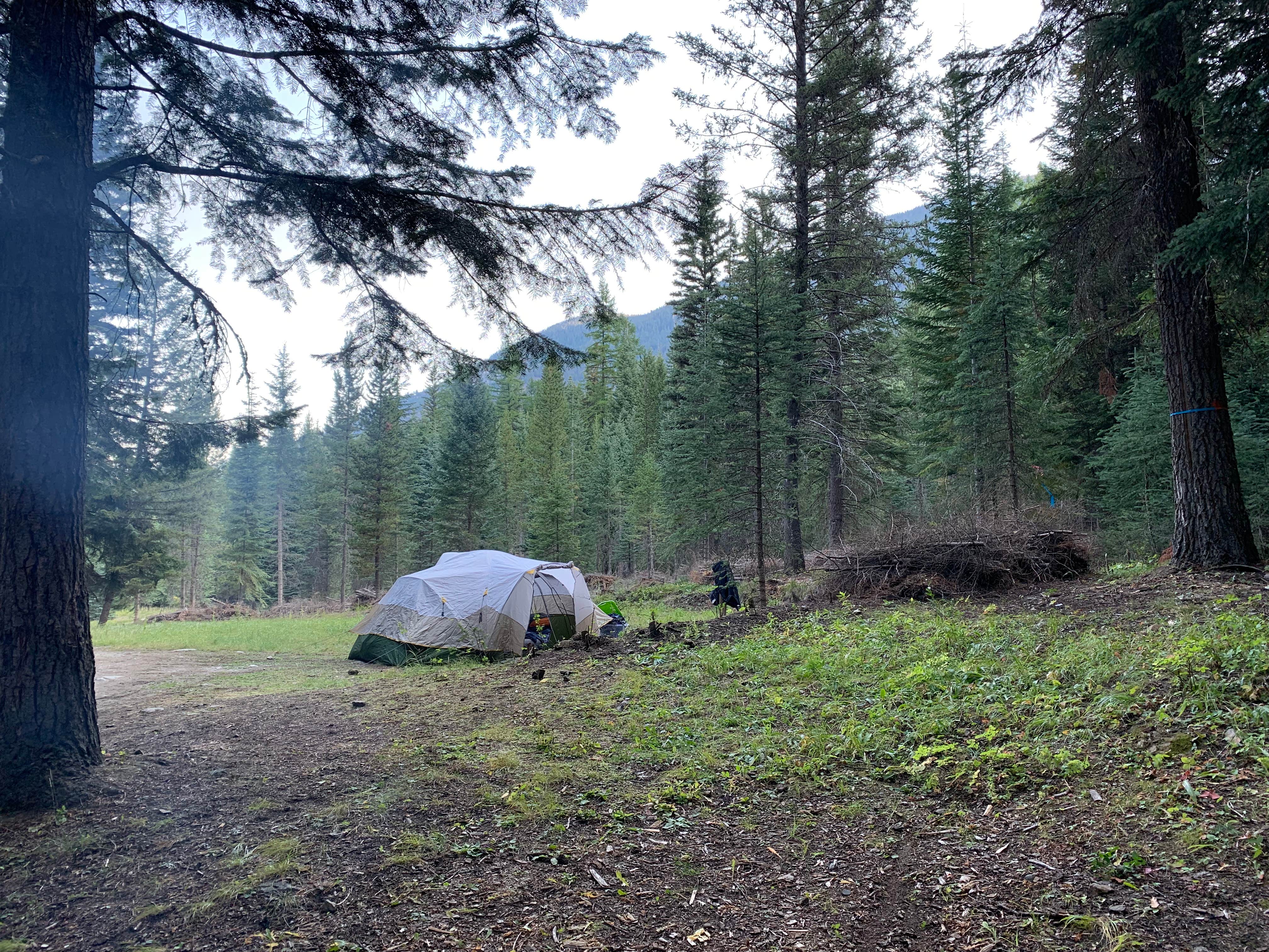 Maria S.'s photo at Irondyke Forest Camp near Cove, OR