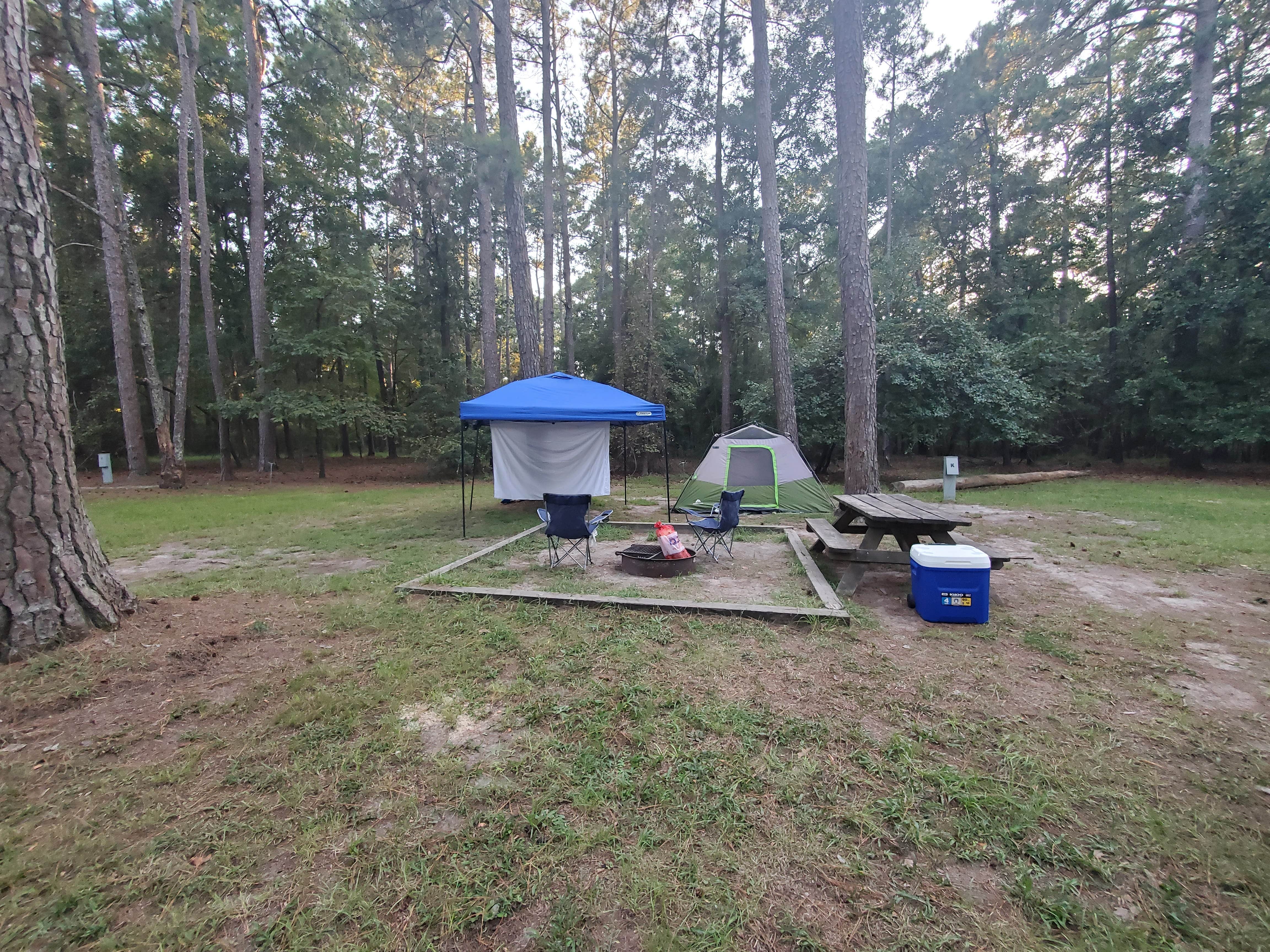 Smol W.'s photo at Cypress View Campground — Santee State Park near Horatio, SC