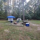Review photo of Cypress View Campground — Santee State Park by Smol W., September 7, 2021
