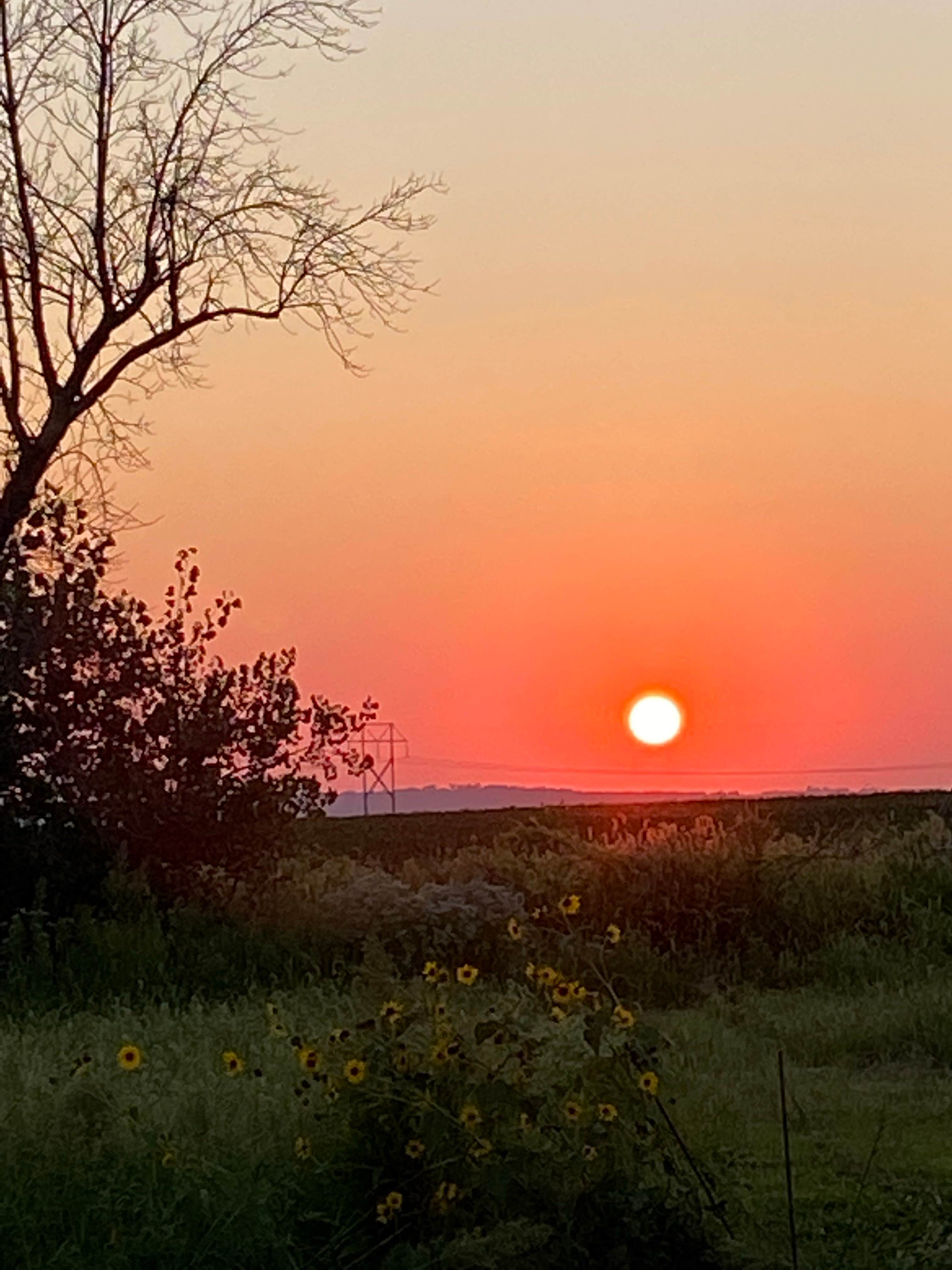 Camper-submitted photo at Rock Port RiversEdge Campground near Nebraska City, NE
