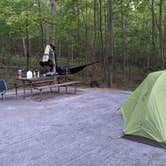 Review photo of Greenbrier State Park Campground - TEMPORARILY CLOSED by Ollie , September 7, 2021