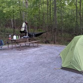 Review photo of Greenbrier State Park Campground by Ollie , September 7, 2021