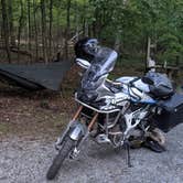 Review photo of Greenbrier State Park Campground - TEMPORARILY CLOSED by Ollie , September 7, 2021