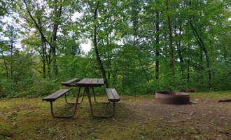 Camping near Medford City Park: Camp New Wood County Park, Irma, Wisconsin