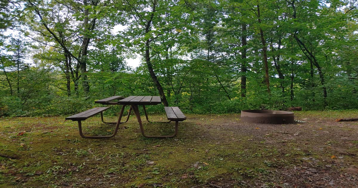 Camp New Wood County Park Merrill, WI