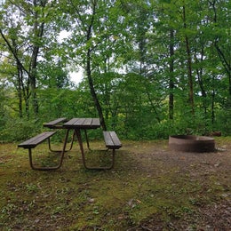 Camp New Wood County Park