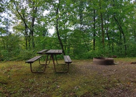 Camp New Wood County Park