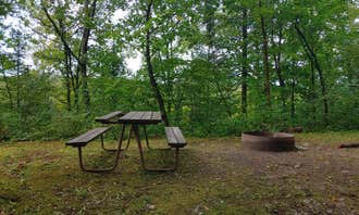 Camping near Council Grounds State Park Campground: Camp New Wood County Park, Irma, Wisconsin