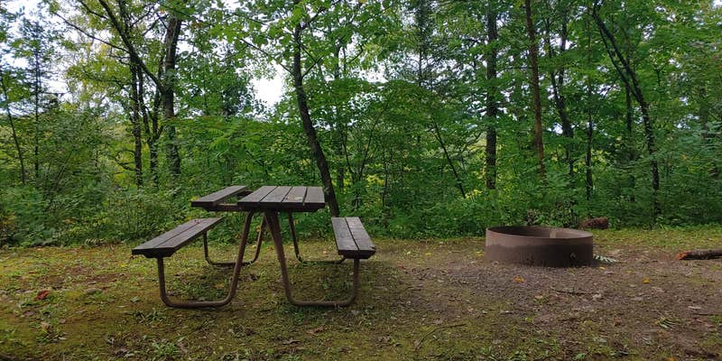 Camper submitted image from Camp New Wood County Park