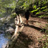 Review photo of Little Buffalo State Park Campground by Casey L., September 7, 2021